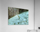 Yellow Eel Acrylic Print