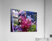 Aquarium Acrylic Print