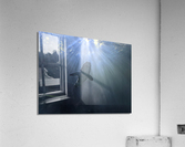 Shark Acrylic Print