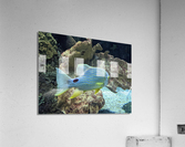 Colorful Fish Acrylic Print