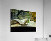 Yellow Eel Acrylic Print