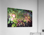 DSC 0264 Acrylic Print