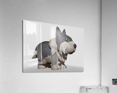 GreyDog Acrylic Print