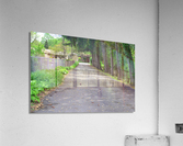 JK06 Acrylic Print