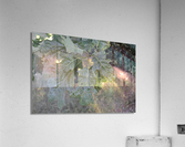DSC 0321 Acrylic Print