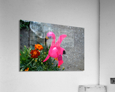 DSC 0072 02 Acrylic Print