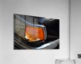 DSC 0073 Acrylic Print