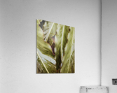 leaves2 Acrylic Print
