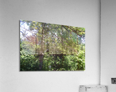 DSC 0441 Acrylic Print