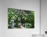 DSC 0448 Acrylic Print