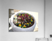 DSC 0079 Acrylic Print