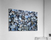 DSC 0067 Acrylic Print