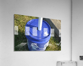DSC 0198 Acrylic Print