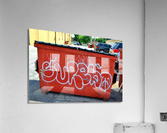 DSC 0010 Acrylic Print