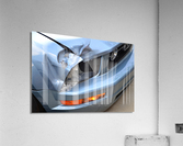 DSC 0199 Acrylic Print