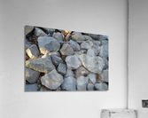 DSC 0045 Acrylic Print