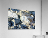 DSC 0049 Acrylic Print