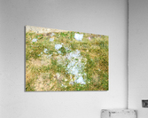 DSC 0048 Acrylic Print