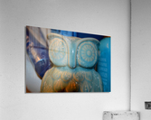 DSC 0030 Acrylic Print