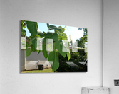 DSC 0317 Acrylic Print