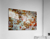 DSC 0018 Acrylic Print
