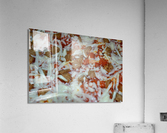 DSC 0016 Acrylic Print