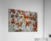 DSC 0024 Acrylic Print