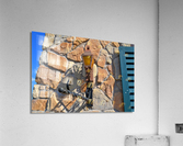 DSC 0077 Acrylic Print