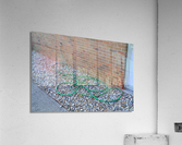 DSC 0310 Acrylic Print
