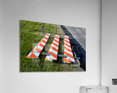 DSC 0184 Acrylic Print