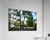DSC 0314 Acrylic Print