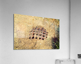 DSC 0100 Acrylic Print