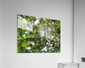 20220701 172621 Acrylic Print