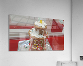 vid5 Acrylic Print
