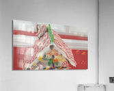 vid1 Acrylic Print