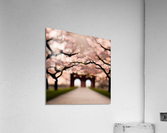 pinktree2 Acrylic Print