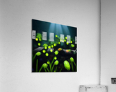 plant Acrylic Print