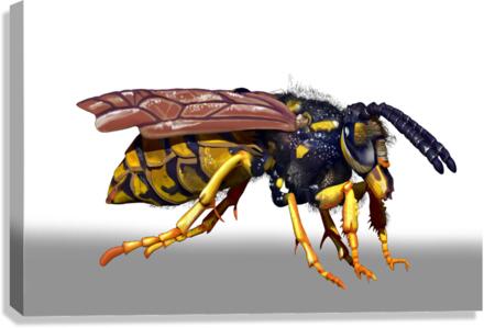 kelly johnson wasp render3 Canvas Print