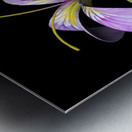 PurpleFlower2 Metal print