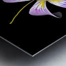 PurpleFlower Metal print