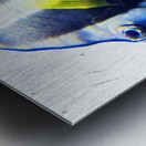 WhiteBlackFishStripe Metal print