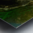 Axoltl Metal print