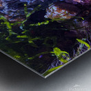 AquariumFishTank Metal print