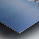 ChicagoSkyLine Metal print