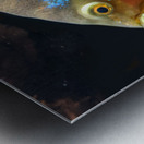 ColorfulFish Metal print