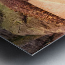 Crocodile Metal print