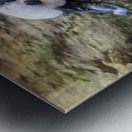 Duck Metal print