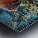 OrangeFishScene Metal print