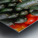 Cucumber Metal print
