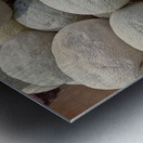 Cantaloupe Metal print